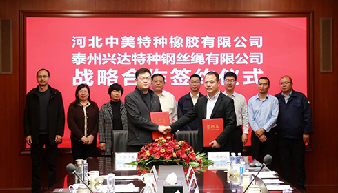 河北衡水市政企代表團蒞臨興達考察，興達&中美達成戰(zhàn)略合作！